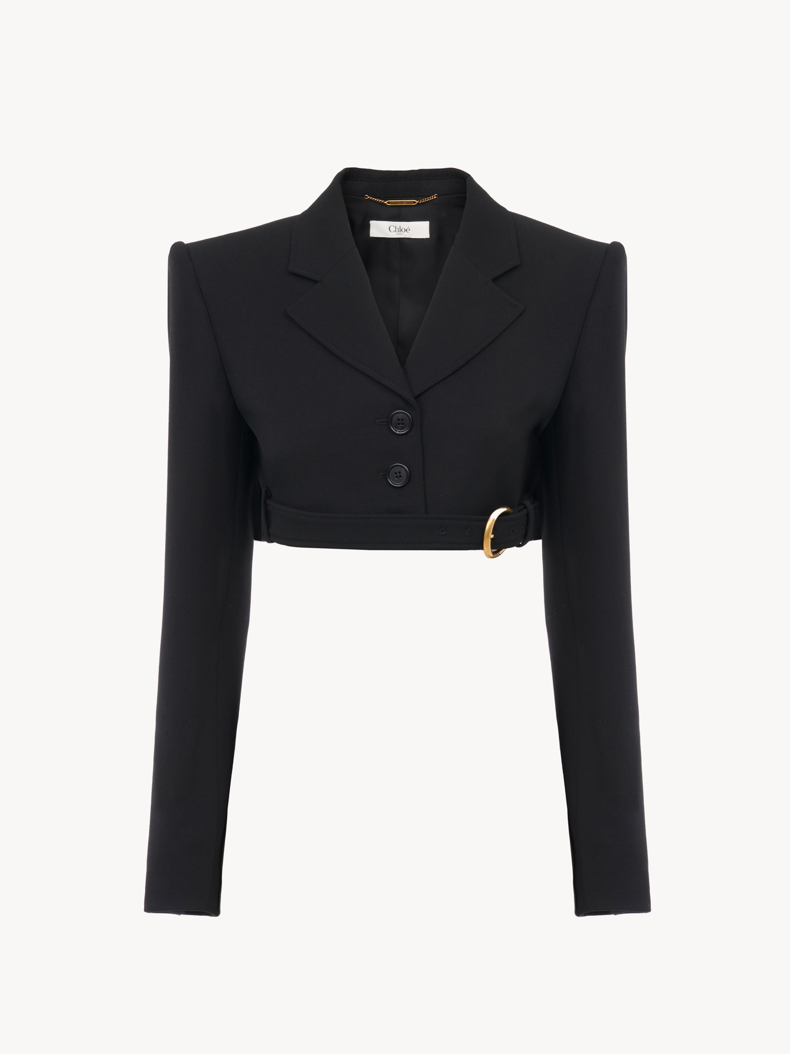 Jupe midi pliss&eacute;e en laine grain de poudre - NaN