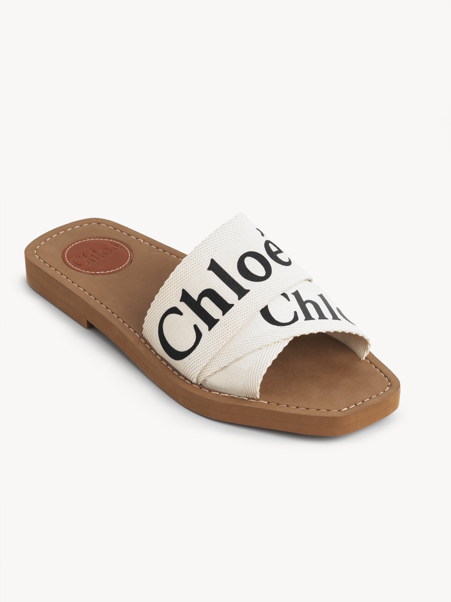 Woody Flat Mule In Canvas | Chloé EE