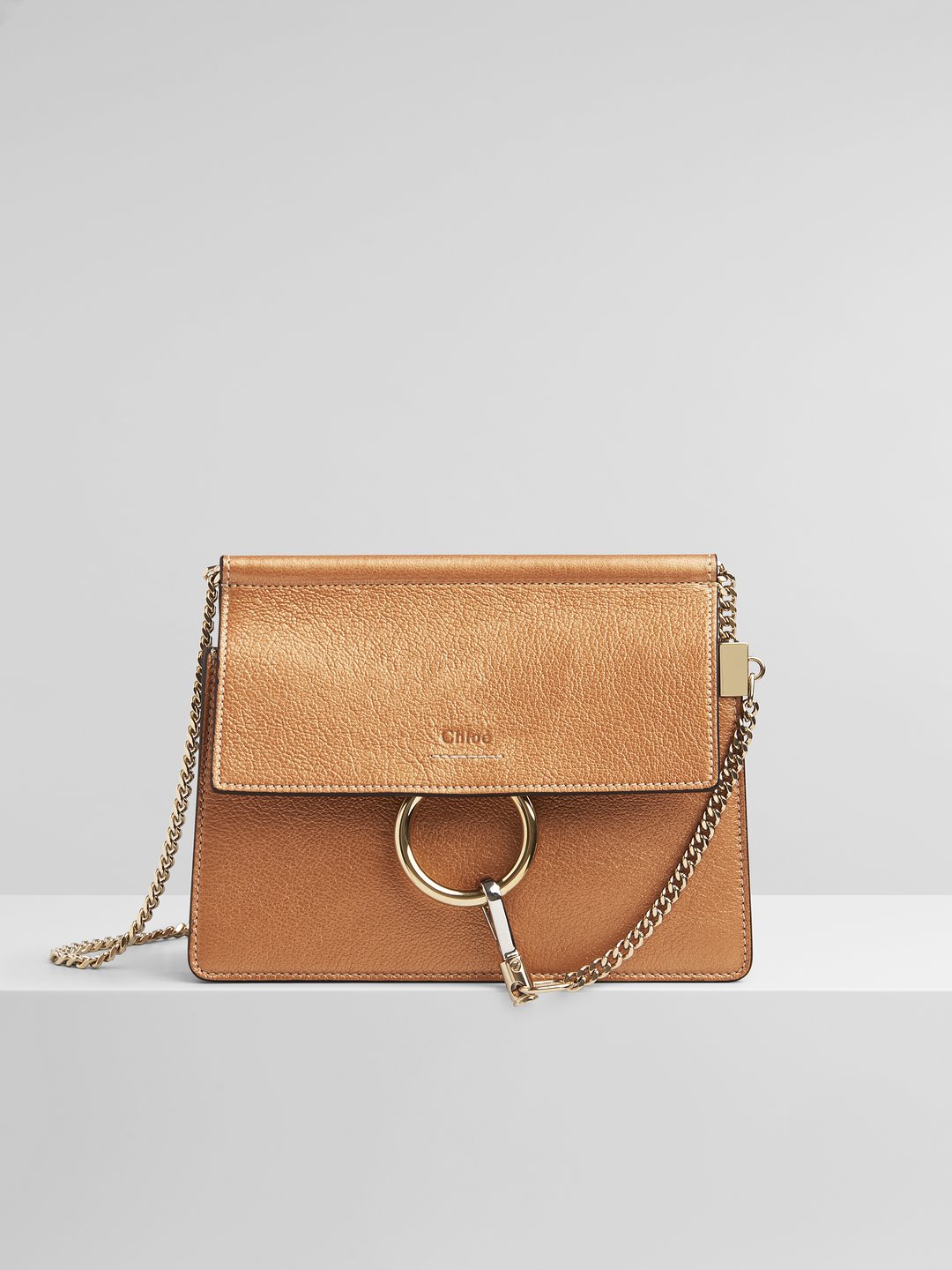 Chloé Faye Mini Chain Bag